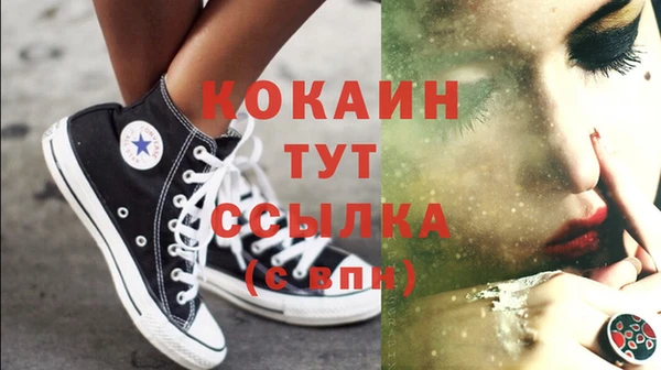 соль ск Алзамай