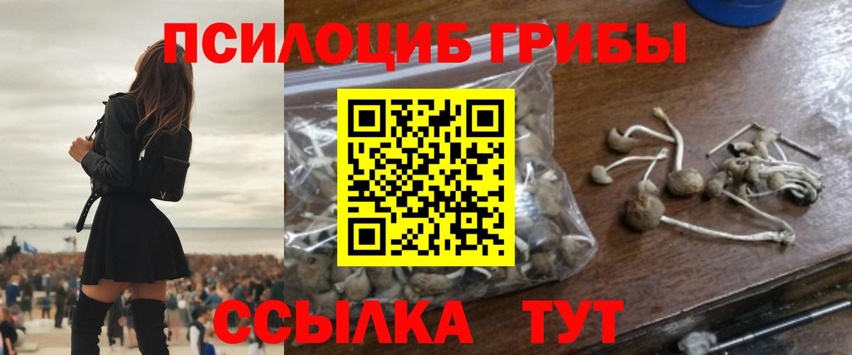 Лениногорск  Псилоцибиновые грибы GOLDEN TEACHER  Вход с VPN  где купить   Галлюциногенные грибы мицелий 
