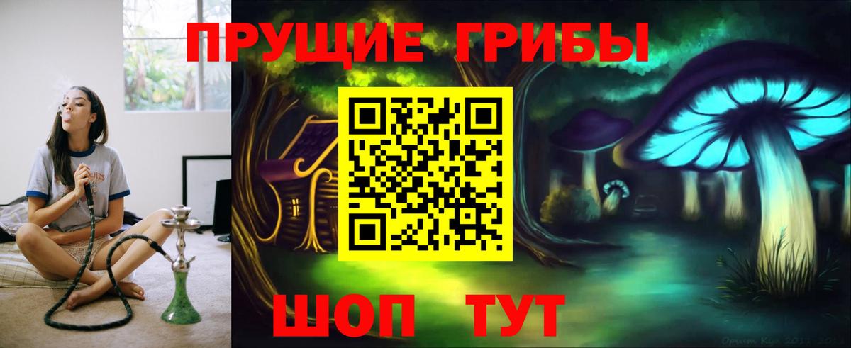Галлюциногенные грибы Cubensis Лениногорск